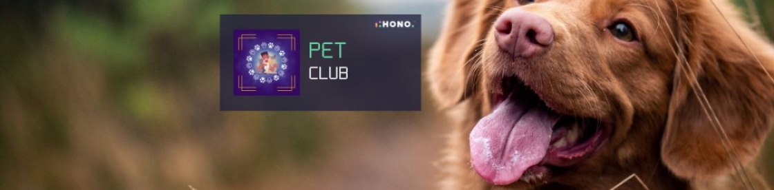 Pets and Animals Club Cover Image